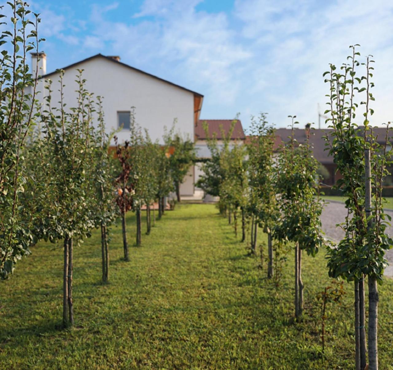 Agriturismo Corte Foscara Malcontenta Exterior foto